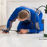 Total Pest Control: Your Ultimate Solution for Pest Control in CT